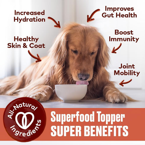 Beef Bone Broth for Dogs, 12 oz - Collagen Protein Supplement for Digestion, Mobility, Coat, Grain Free, Made in USA