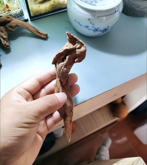 Set of 4 Small Natural Driftwood 4-6'' for Aquarium Styling, Reptile Tank Decor (Pack of 4)