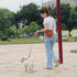 COOWONE Dog Treat Pouch with Clicker, Detachable Training Bag, 900D Oxford Cloth, Magnetic Closure for Small Dog Walking