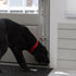 (Set 2) Caldwell's Pet Supply Co. Dog Potty Bells, Dog Door Bell, Bells to Go Outside, Potty Training Bell, Dogs