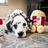 ZippyPaws Burrow Food Buddies Popcorn Bucket, Interactive Dog Toys for Small & Medium Dogs