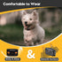 Tiniest Bark Collar for Small Dogs 5-15lbs, Rechargeable, No Shock with Vibration & Sound, Orange