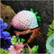 Opaeroo White Strawberries Shape Designs Hermit Crab Shells for Home Decorations Hermit Crab