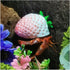 Opaeroo White Strawberries Shape Designs Hermit Crab Shells for Home Decorations Hermit Crab