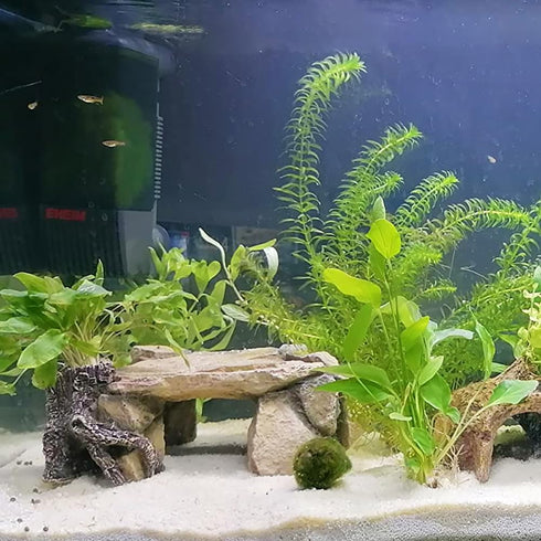 Resin Hideout Shelter for Shrimp and Crawling Pets, Aquarium Tortoise Cave Decorations, Spacious Betta Fish Resting Spot