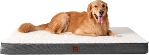 EHEYCIGA Orthopedic XL Dog Beds for Extra Large Dogs, Removable Washable Cover, Beige, 44x32