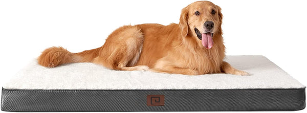 EHEYCIGA Orthopedic XL Dog Beds for Extra Large Dogs, Removable Washable Cover, Beige, 44x32