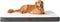 EHEYCIGA Orthopedic XL Dog Beds for Extra Large Dogs, Removable Washable Cover, Beige, 44x32