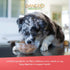 12 Count, 12.5 oz Evanger's Heritage Classic Lamb & Rice Dinner Dog Food Each Gluten & Grain Free, Complete Balanced