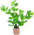 Mipcase Aquarium Plant Fixed Holder, 20pcs Pottery Water Plant Fixed Cup for Anti-Floating Aquarium Landscape