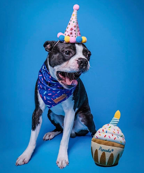 Nestpark Dog Birthday Toy - Pup Cake Puppy Cupcake Plush Squeak and Crinkle Gift