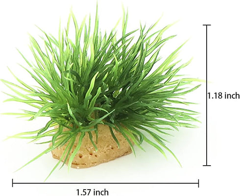 AQUA KT Aquarium Landscape Foreground Grass Seaweed Green Plants for Marine Freshwater Fish Tank Decoration, Pack of 10 by AQUA KT