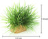 AQUA KT Aquarium Landscape Foreground Grass Seaweed Green Plants for Marine Freshwater Fish Tank Decoration, Pack of 10 by AQUA KT