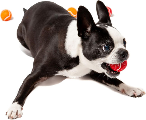 Midlee Mini Dog Tennis Balls with Squeaker, Set of 12 Solid Colors, 1.5"