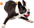Midlee Mini Dog Tennis Balls with Squeaker, Set of 12 Solid Colors, 1.5"
