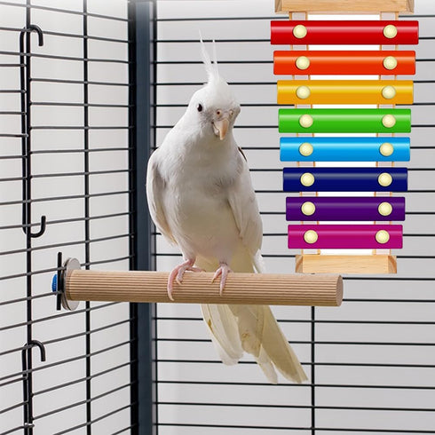 Finch Bird Xylophone with Mirror & Bell Accessories - Musical Training Toy for Conure, Budgie, Cockatiel, Cockatoo