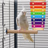 Finch Bird Xylophone with Mirror & Bell Accessories - Musical Training Toy for Conure, Budgie, Cockatiel, Cockatoo