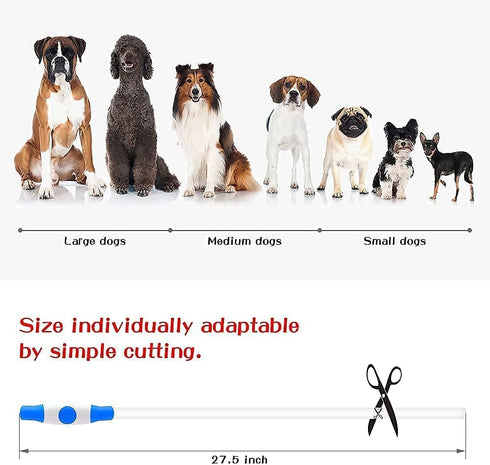 LED Dog Collar Light Up, USB Rechargeable TPU Glow Safety Basic Collars for Large Medium Small Dogs (Blue)