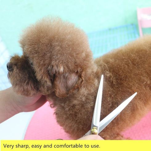 HASHIMOTO Grooming Scissors for Dog - Straight 7.0 inch, Light Weight, Balanced, Ergonomically Designed for