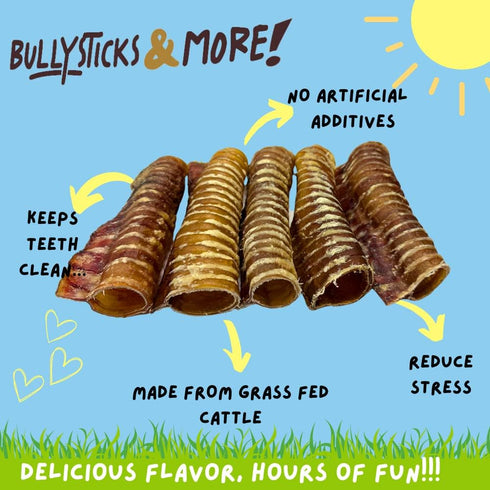 6 Inch (6 Pack) 100% BULLYSTICKS & MORE Beef Trachea | Grass Fed | Long Lasting Dog Chews | Parents Choice Treats