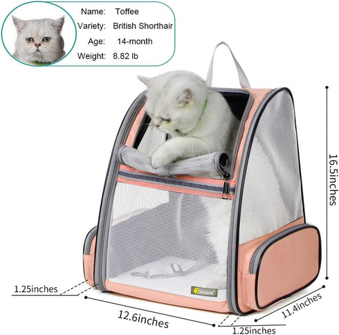 Backpack Texsens Innovative Traveler Bubble Pet Carriers for Cats and Dogs