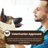 Wildwoods Aromatherapy Shampoo & Conditioner for Pets, 16 fl oz, Medicated & Whitening