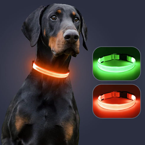 Light Up Dog Collar, Adjustable LED Dog Collar Rechargeable Waterproof for Night Walking, Glow in The Dark for Medium
