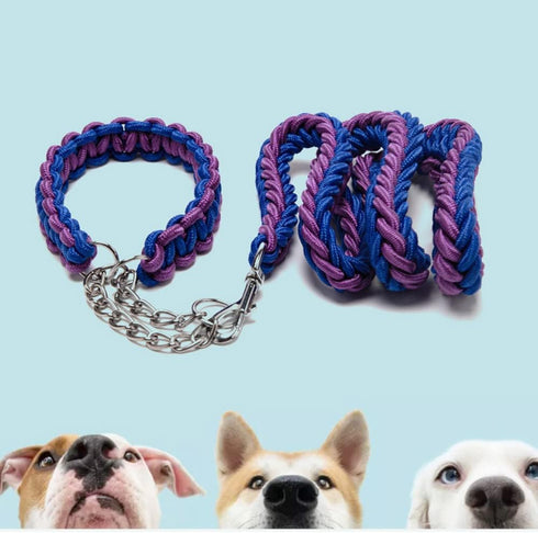 Dog Collar and Leash Set - Heavy Duty Nylon Braided Rope 4 FT Leash and Training Collar for Small, Medium & Large Dogs