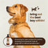 Wildwoods Aromatherapy Shampoo & Conditioner for Pets, 16 fl oz, Medicated & Whitening