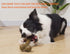 Tough Dog Toys for Aggressive Chewers, Indestructible Nylon Bones, Durable Puppy Teething Toys, Interactive Toys for