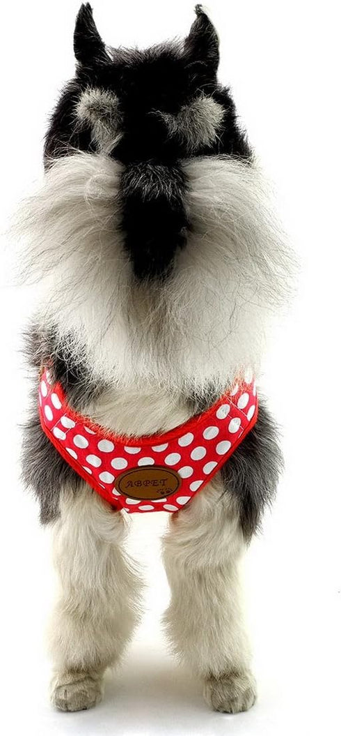 SELMAI Small Dog Harness Vest Leash Set, Polka Dot/Camo Mesh, No Pull Leads for Puppy Pet Cat