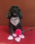BoomBone Dog Valentines Day Bandana, 2 Pack Triangle Bibs for Medium and Large Dogs