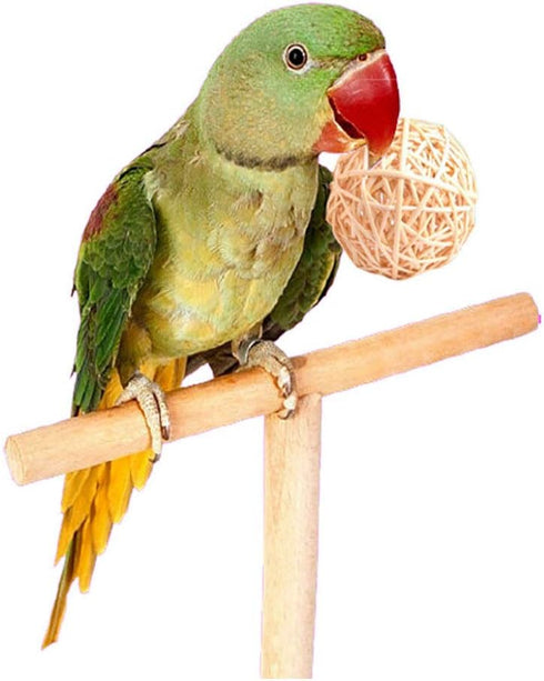 Tfwadmx 10 Pcs Willow Ball, Bird Foraging Toys, Small Animal Chew Toy for Parrot, Macaw, Hamster, Guinea Pig