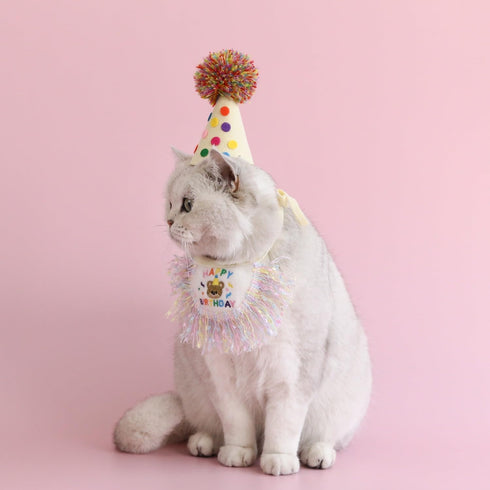 Cat Birthday Bandana Scarf and Party Hat Set, Cute Tassels Bib Scarf for Cat Birthday Party Decorations