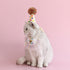 Cat Birthday Bandana Scarf and Party Hat Set, Cute Tassels Bib Scarf for Cat Birthday Party Decorations