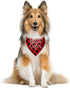 ZPPRJF (B16) Big Sister Buffalo Plaid Plaid Plaid Blue Camo Pet Scarf Dog Bandana Accessories Poppy For Small Medium