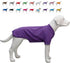 Lovelonglong Bulldog Clothes - Blank T-Shirt Tee for French Bulldog, English Bulldog, American Pit Bull, Pugs - Purple