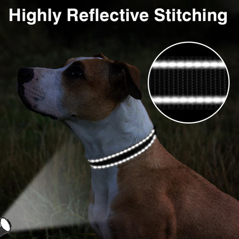 Taglory Adjustable Reflective Dog Collars for Small Medium Large Dogs, Quick Release Plastic Buckle (Black, Medium)