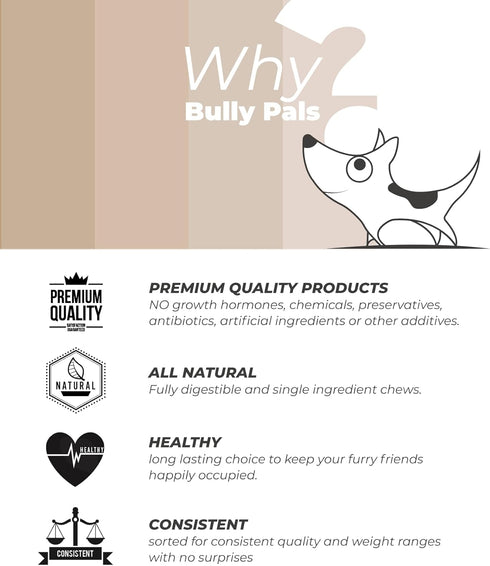 12 inch 10 Pack 100% Standard Bully Sticks for Dogs - - Natural, Single Ingredient, Easily Digestible, All Beef Dog