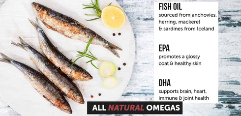 Omega 3 Fish Oil for Dogs, 180 Count Tablet Treats for Shedding, Skin Allergy, Itch Relief, Joint Health, Salmon Oil,