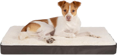 Best Pet Supplies Cute Dog Crate Mat Flat Bed, Waterproof Exterior, Thick Orthopedic Egg Foam Mattress, Brown, 41X29X4