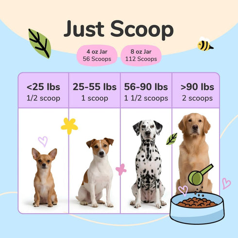 4oz kin+kind Skin and Coat Supplement for Dogs & Cats Natural Vitamin Supplements with Organic Ingredients for Shiny