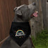 GRAPHICS & MORE Guess Who's Got Anxiety Rainbow Funny Humor Dog Pet Bandana