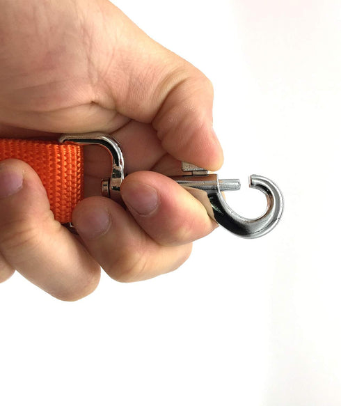 TAIAN Adjustable Nylon Dog Leash, 10 Foot Long Leash for Medium, Large Dogs, Orange
