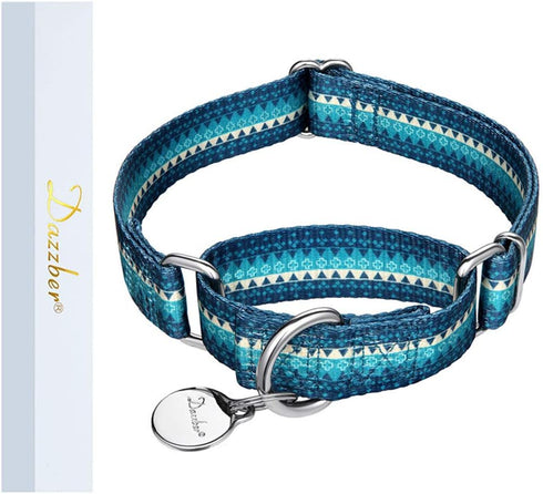 Martingale Dog Collar, Fashion Print Pattern, No Pull Safety Training Collar, Medium, Turquoise