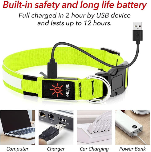 BSEEN Reflective LED Dog Collar - Light Up Dog Collars for Safe Walking at Night - Rechargeable for Dogs, Neon Green,