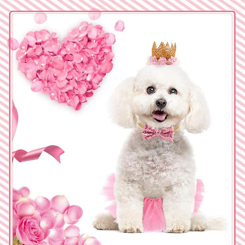 Dog Tutu Skirt, Birthday Party Supplies with Pink Bowtie and Crown Hat for Dog Princess Costume