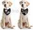 Whaline 2 Pack Graduation Dog Bandana, Reversible Triangle Bibs Adjustable Pet Kerchief Scarf for Everyday Wear