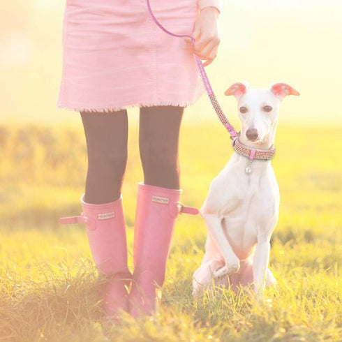 PetsHome 5 FT Dog Leash, Premium PU Leather Pet Leash with Bling Rhinestones for Small to Medium Dogs, Pink
