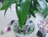 Crystal Fluorite Vase Filler, 0.22lbs, Polished Healing Chips for Fish Tank Gravel and Succulent Plants.